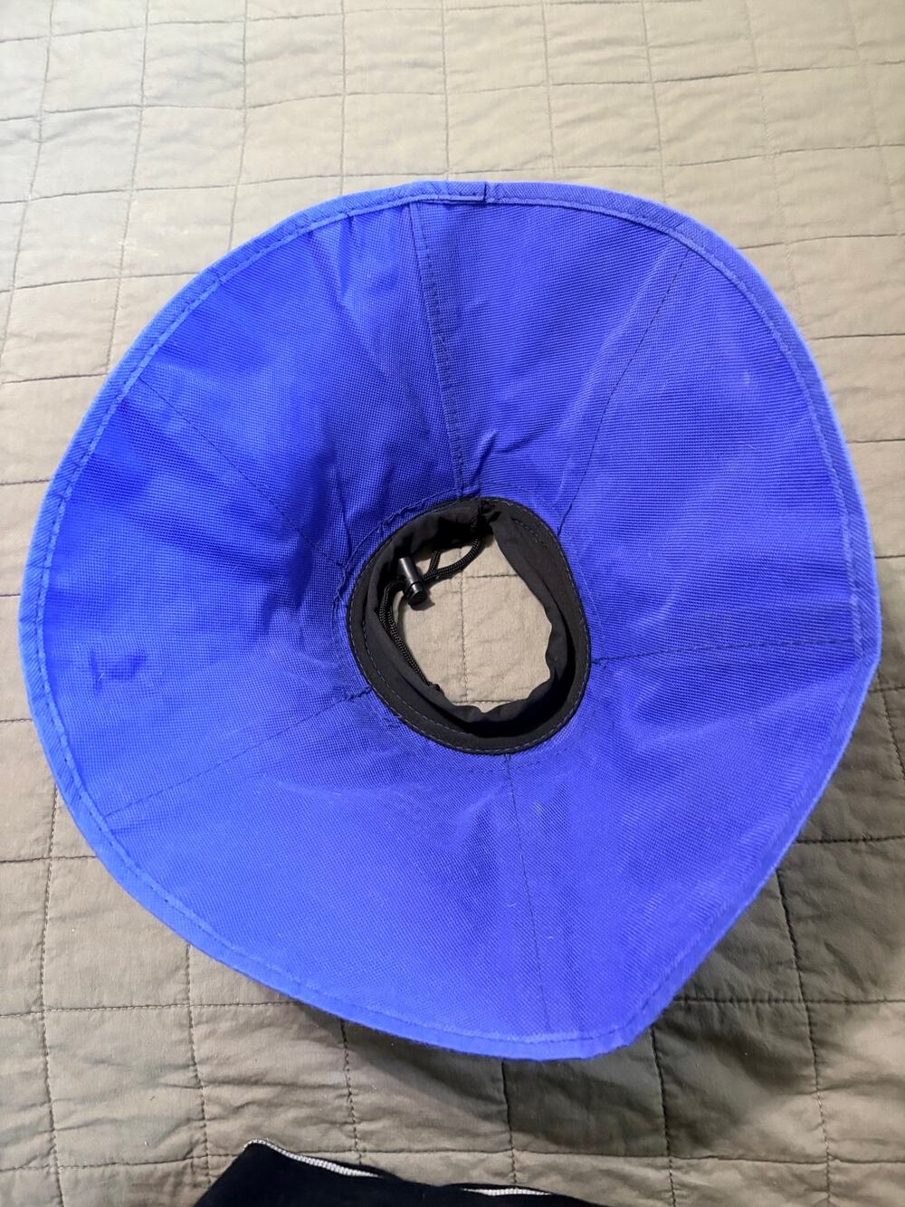 Soft Dog Cone Size Medium